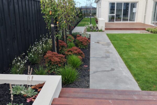 Landscaped new build garden with concrete path, timber deck, lawn and layered planting