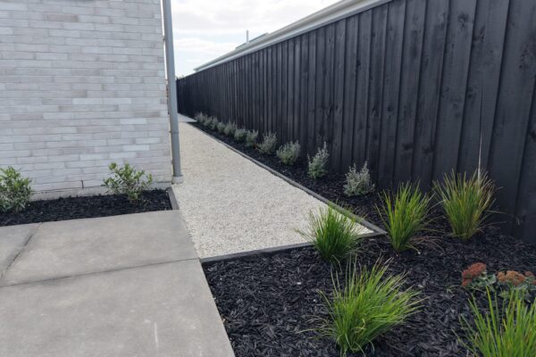 Garden paths, timber fencing and garden planting in Christchurch