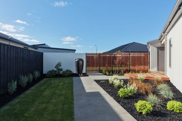 Modern side garden with concrete path, lawn, black mulch, feature pot and timber screening