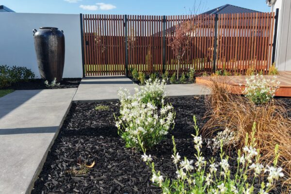 Modern front garden with feature urn, concrete path, timber gate and flowering plants